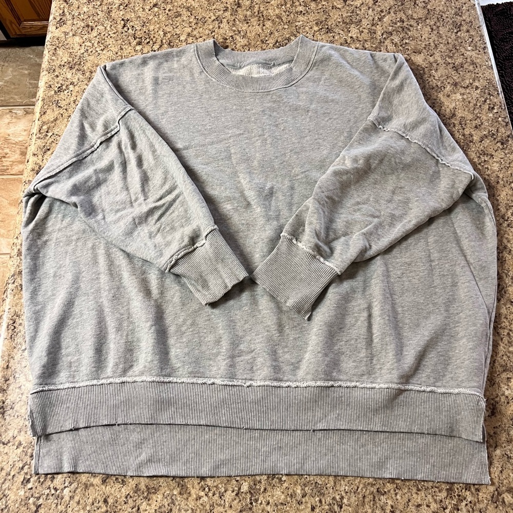 LN Aerie America Eagle soft oversized Crewneck French terry gray Sweatshirt L